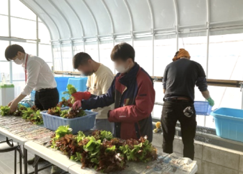 Employees from headquarters helping with shipment